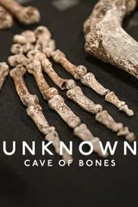 poster for Unknown: Cave of Bones