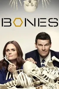 poster for Bones