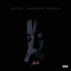 art for Feels (Hotel Garuda Remix)