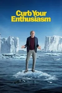 poster for Curb Your Enthusiasm