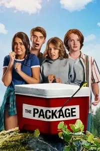 poster for The Package