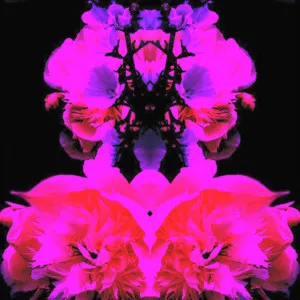 art for Strung Out