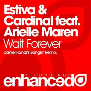 art for Wait Forever - Daniel Kandi's Bangin' Remix